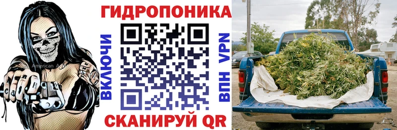 Канабис планчик  OMG tor  Майкоп 